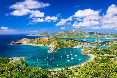 Welcome To Paradise