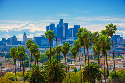 Stays In Las Vegas & Los Angeles