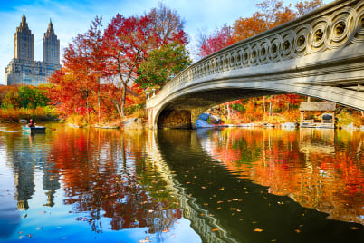 Central Park & New York Sights Walking Tour