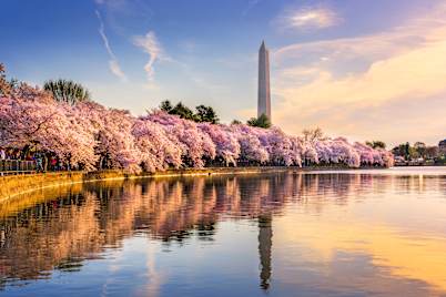 Exclusive Cruise.co.uk Escorted USA Tour