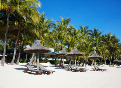 30-Night Discovery Princess Cruise