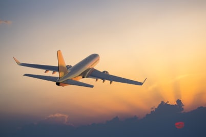 Flights & Transfers
