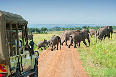 Unique escorted tours