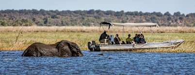 Ultimate Africa! Zambezi River Cruise With Safari & Victoria Falls From £5999pp