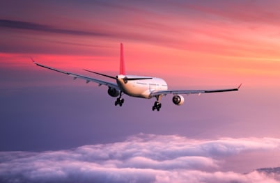 Return Flights & Overseas Transfers